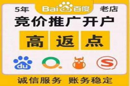 探索百度竞价排名的奥秘：某企业的成功之路